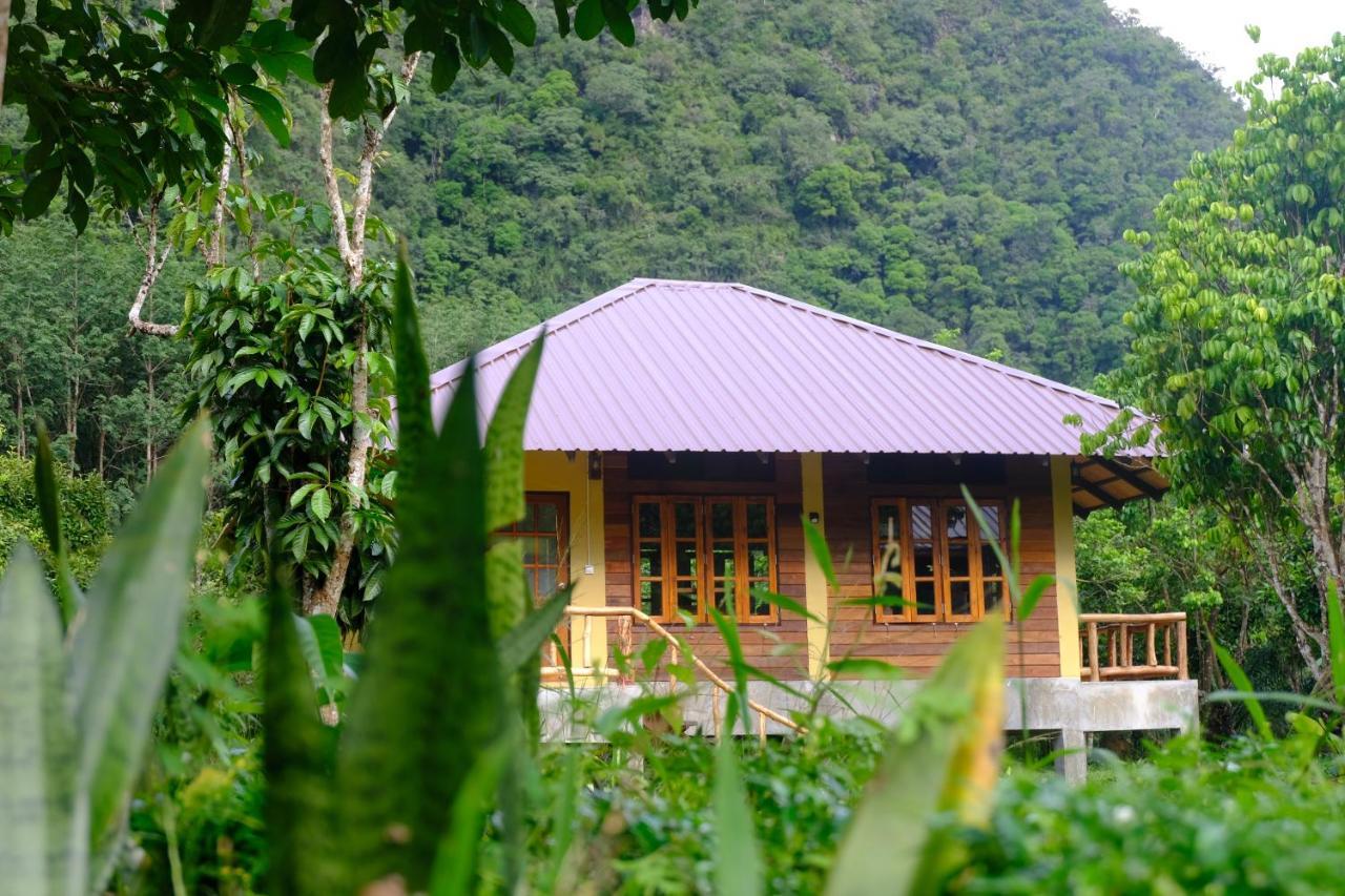 Monkey Mansion - Jungalows & Tours Khao Sok National Park ภายนอก รูปภาพ