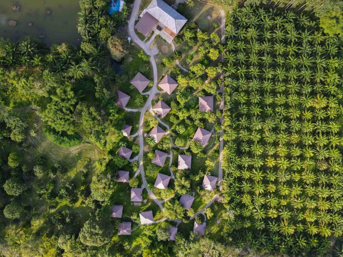 Monkey Mansion - Jungalows & Tours Khao Sok National Park ภายนอก รูปภาพ