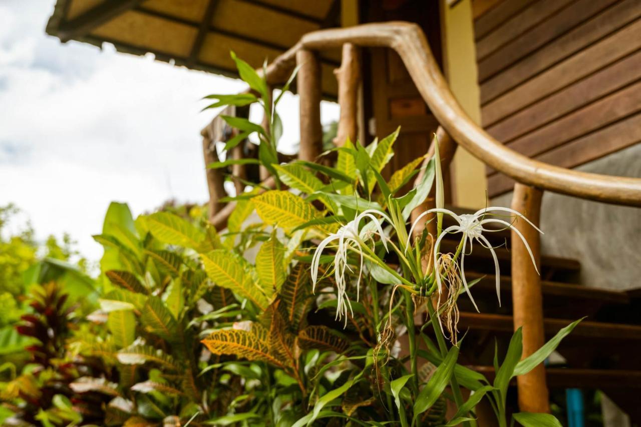 Monkey Mansion - Jungalows & Tours Khao Sok National Park ภายนอก รูปภาพ