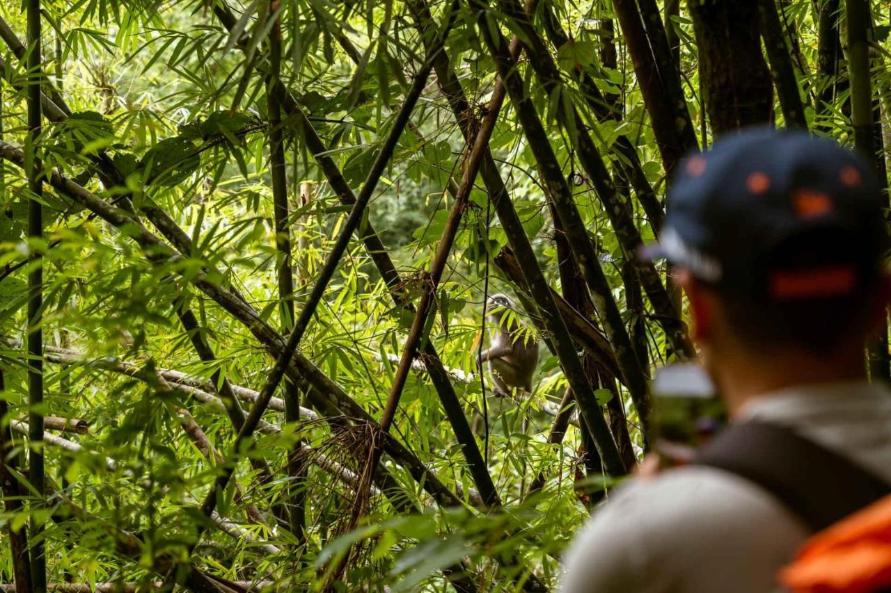 Monkey Mansion - Jungalows & Tours Khao Sok National Park ภายนอก รูปภาพ