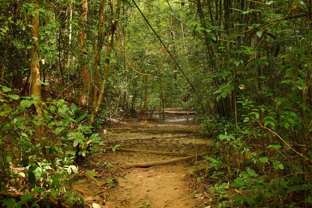 Monkey Mansion - Jungalows & Tours Khao Sok National Park ภายนอก รูปภาพ